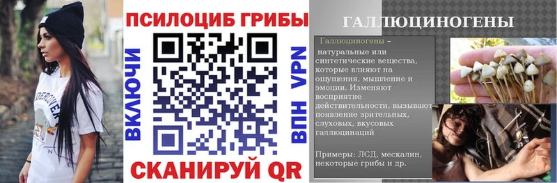 Псилоцибиновые грибы Psilocybe  Людиново 